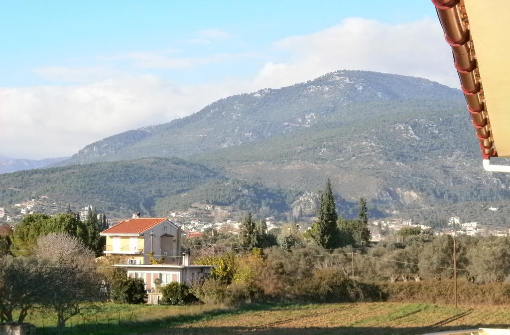 Artemis - Marina Apartments Evia Quarto foto